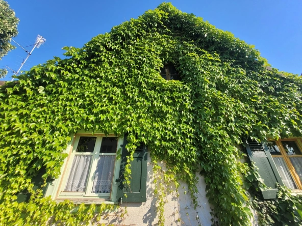 Maison à rénover de 90 m² à Village-Neuf, proche frontières et transports