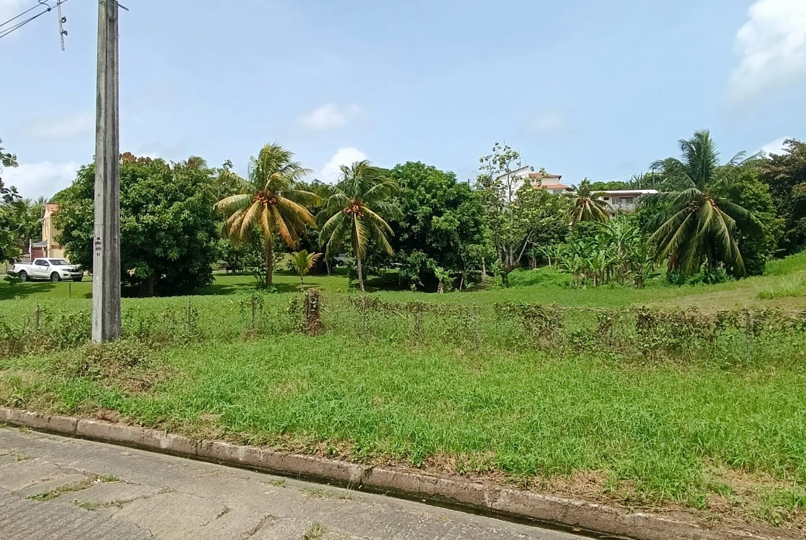 Terrain constructible de 1418 m² au Lamentin, idéale localisation 