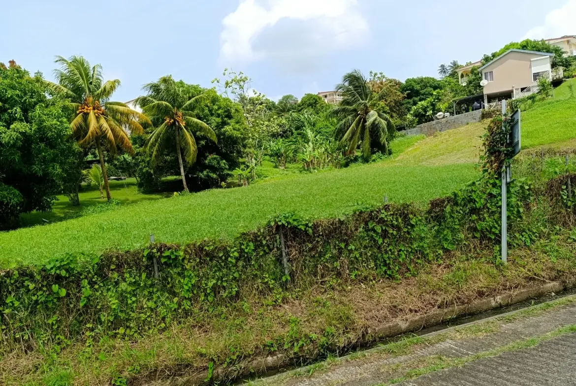 Terrain constructible de 1418 m² au Lamentin, idéale localisation 