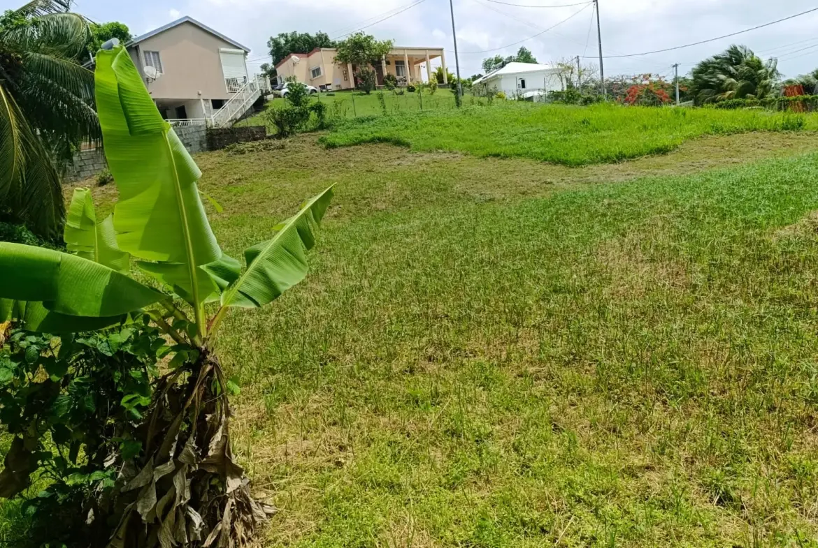 Terrain constructible de 1418 m² au Lamentin, idéale localisation 