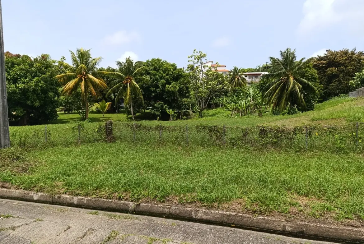 Terrain constructible de 1418 m² au Lamentin, idéale localisation 