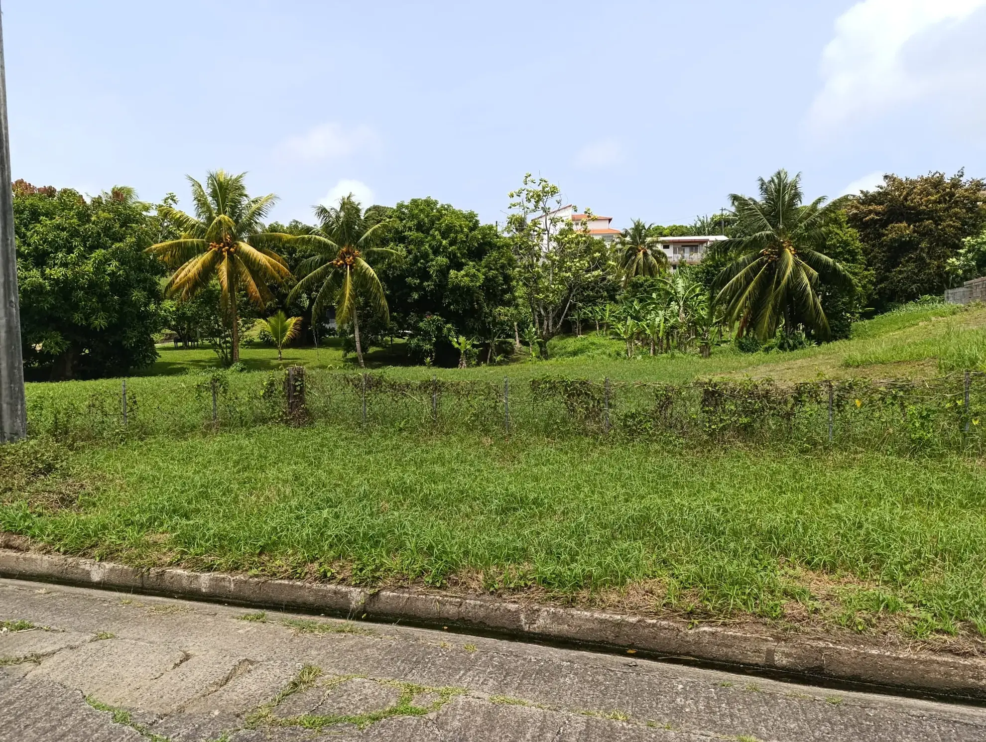 Terrain constructible de 1418 m² au Lamentin, idéale localisation 