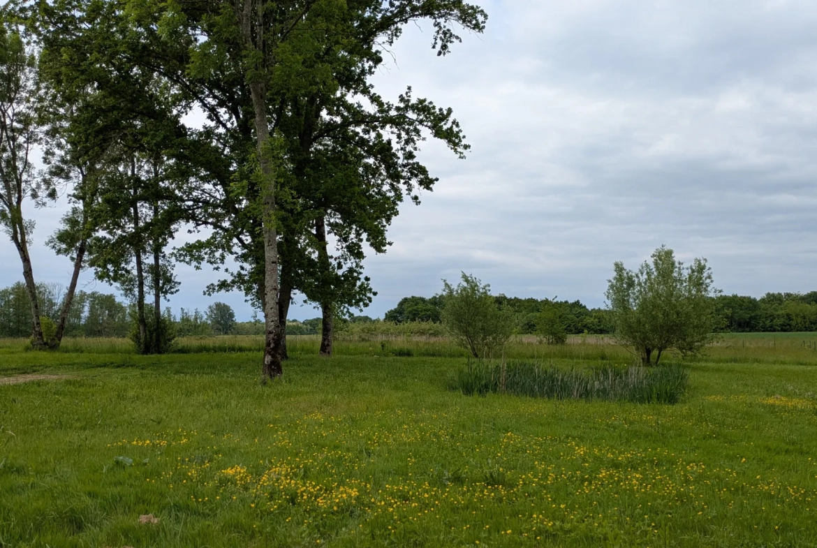 Magnifique maison rénovée de 145 m² avec grand terrain à Bois-de-Gand 