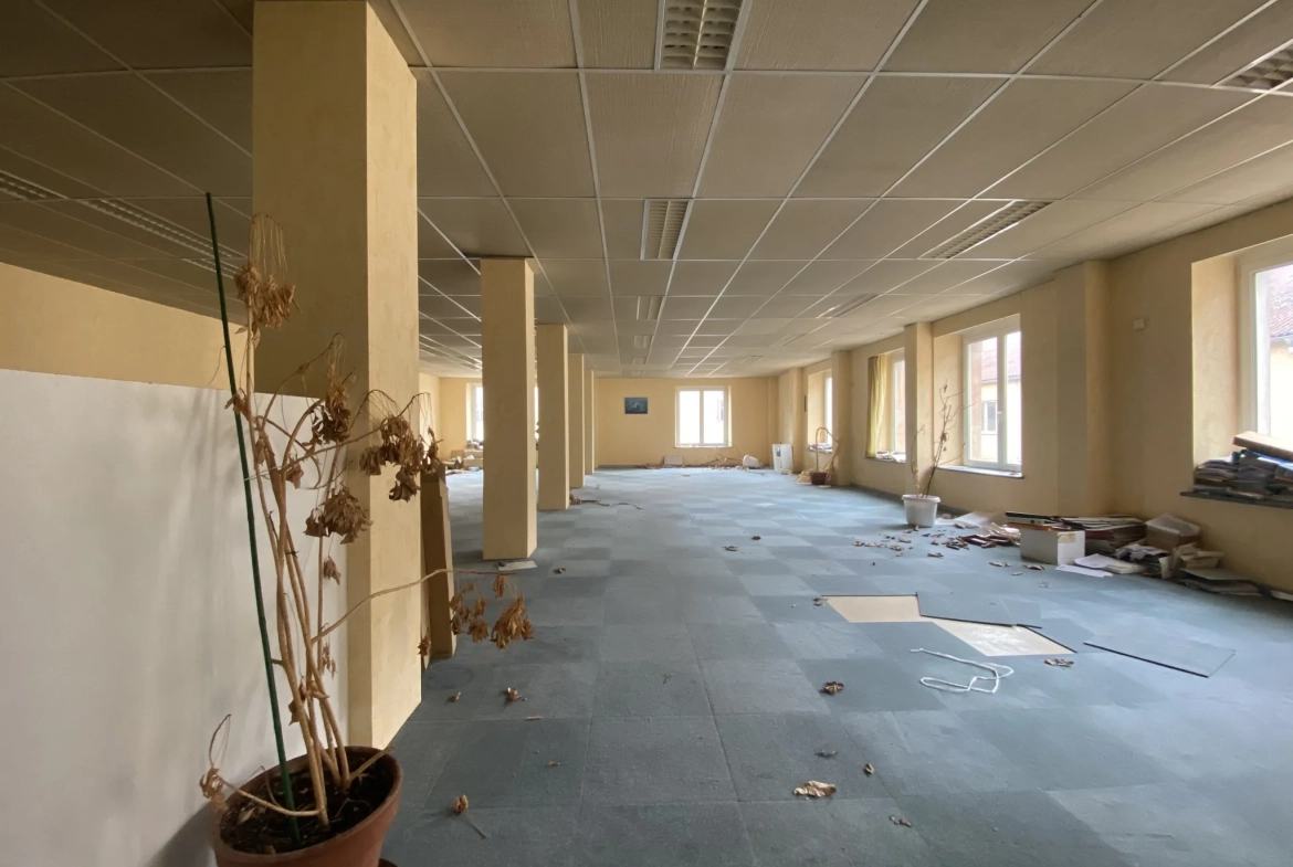 Local professionnel de 201 m² à louer à Lunéville, au cœur de la zone commerciale 