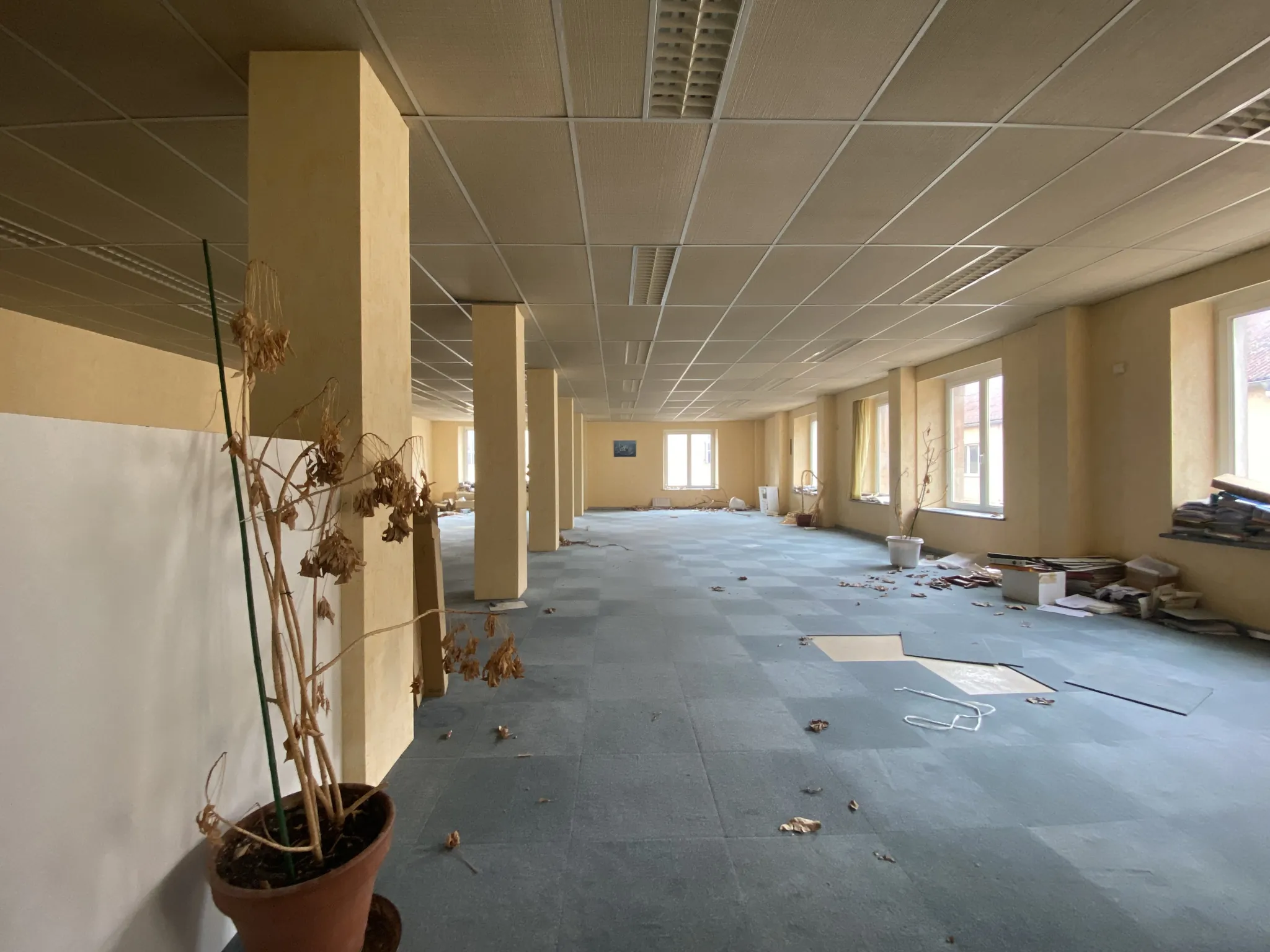 Local professionnel de 201 m² à louer à Lunéville, au cœur de la zone commerciale 