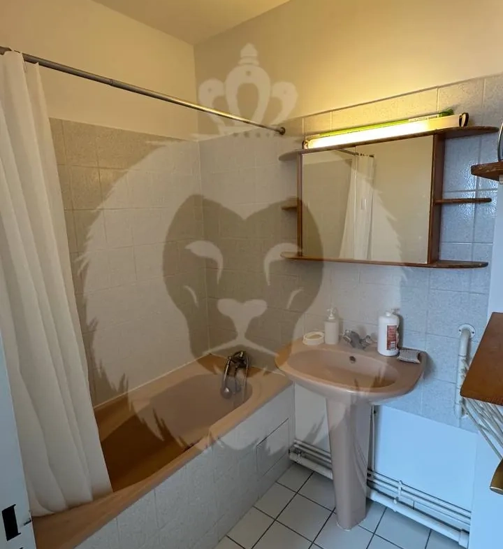 Appartement 2 pièces à Paris 15ème avec balcon, parking et cave 