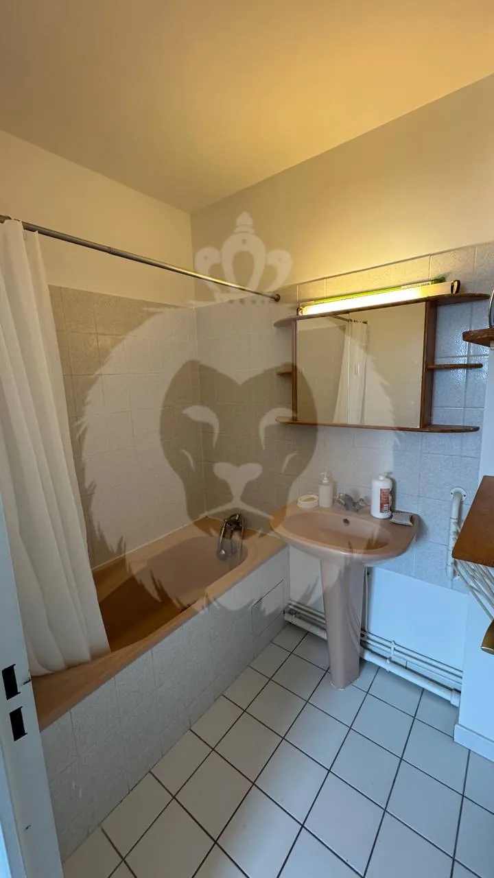 Appartement 2 pièces à Paris 15ème avec balcon, parking et cave 