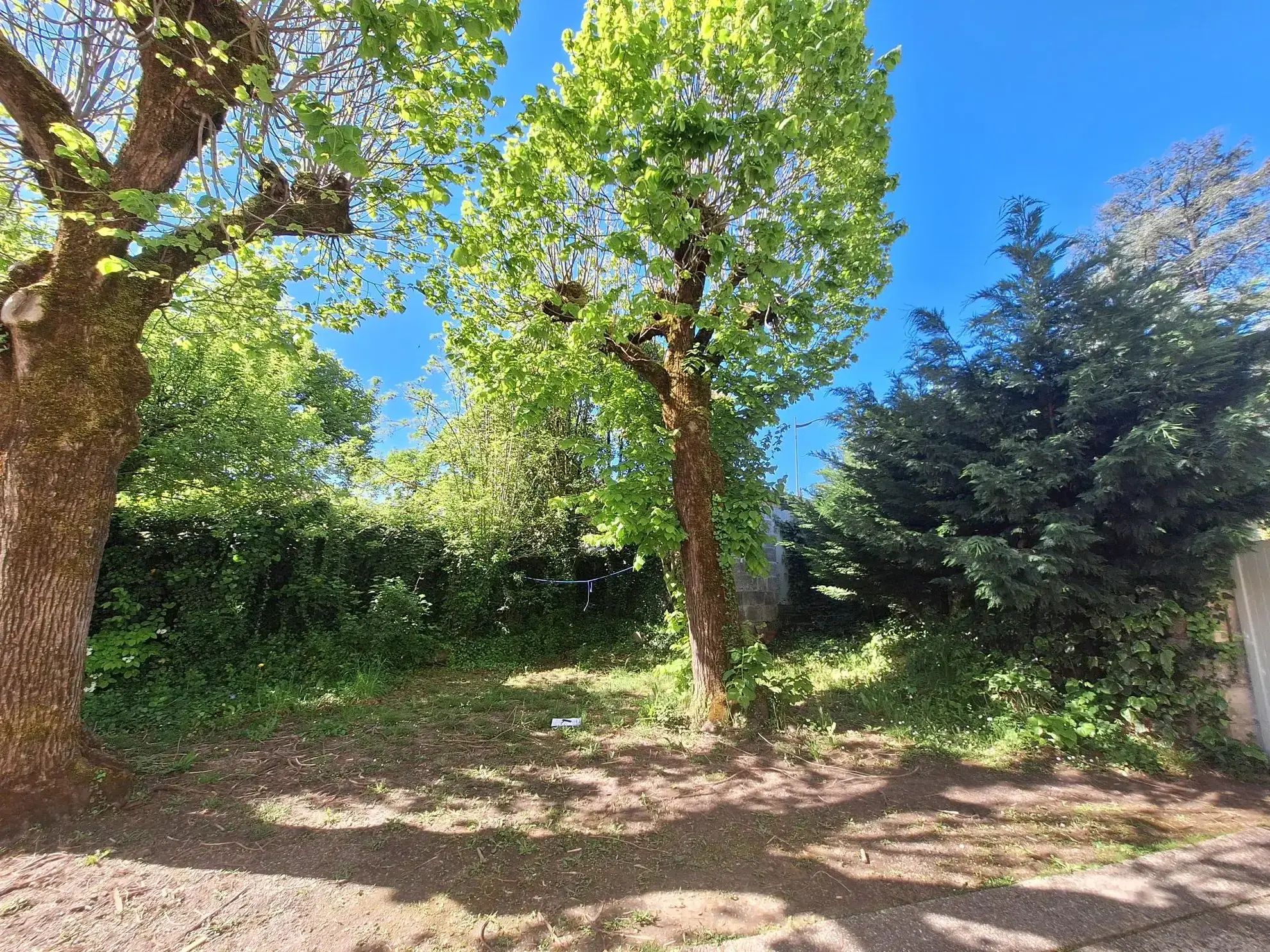 Charmante maison de maître de 200 m² à Ribérac, proche commerces et écoles 