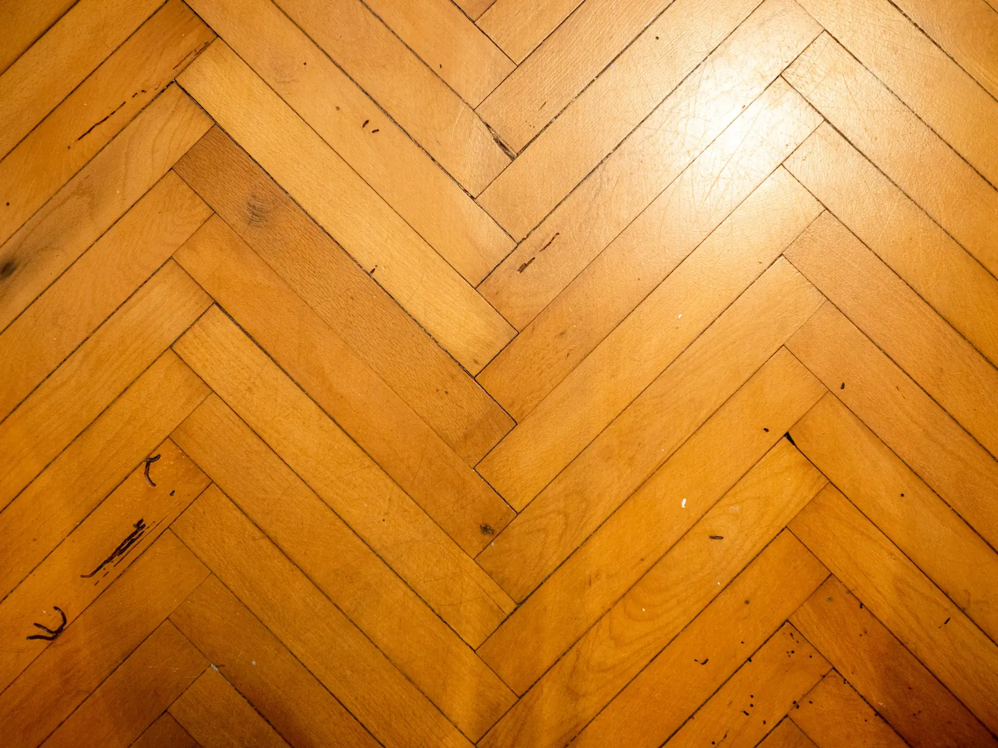 Appartement 2 pièces à Nice Libération – 46 m² rénové avec parquet, idéal emplacement 