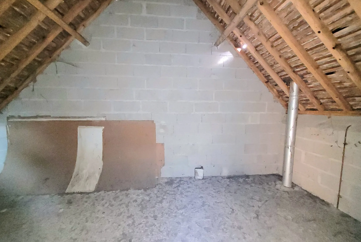 Maison à rénover de 92 m² avec grand terrain dans le Pays d'Othe 