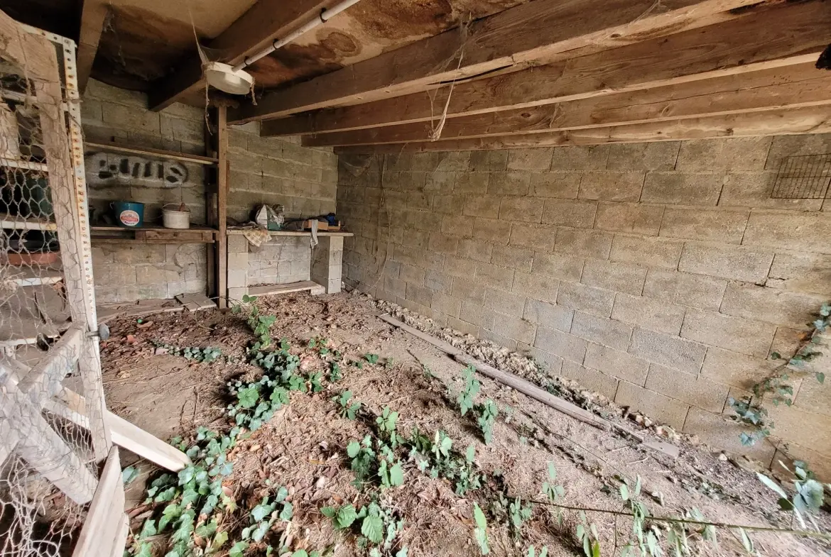 Maison à rénover de 92 m² avec grand terrain dans le Pays d'Othe 