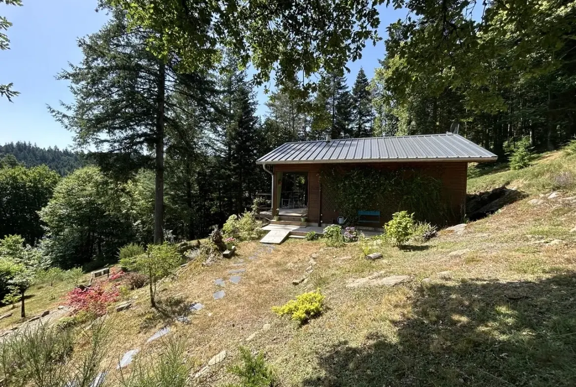Chalet à vendre à Treignac en Corrèze avec vue sur le Lac des Bariousses 