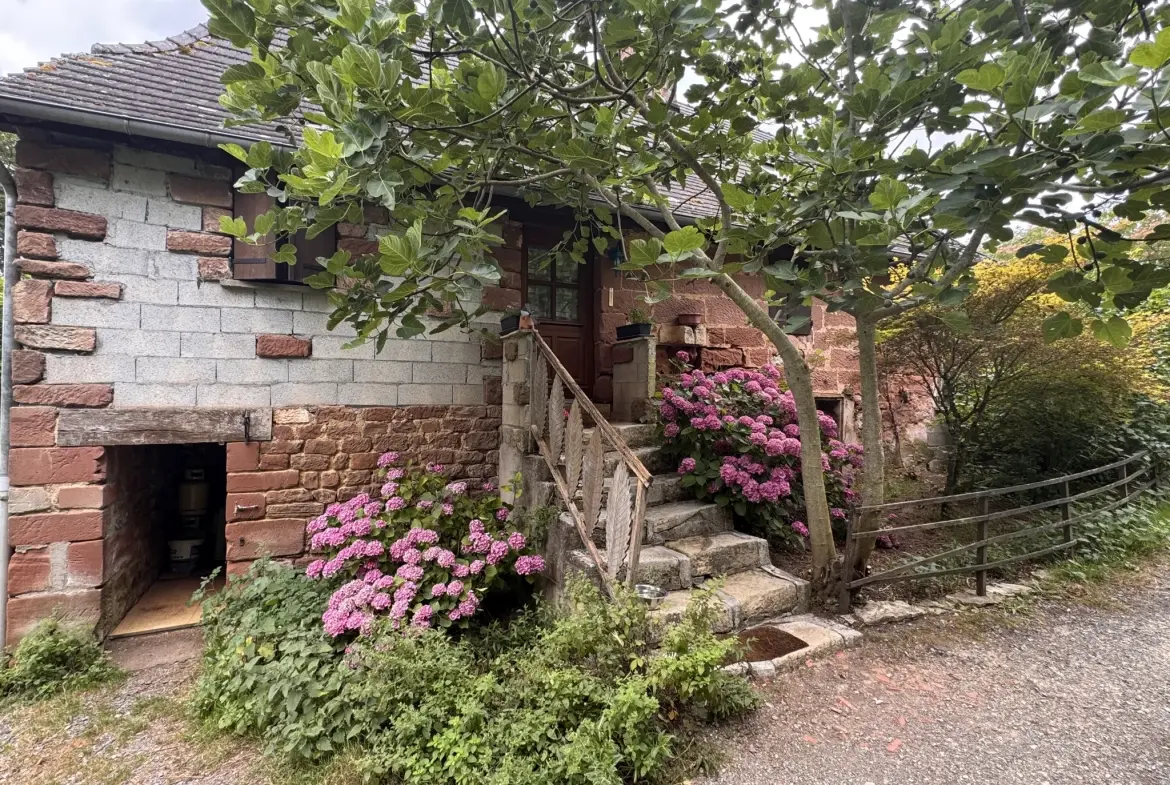 Charmante maison en pierres avec grande cuisine, 3 chambres et dépendances à Louignac 