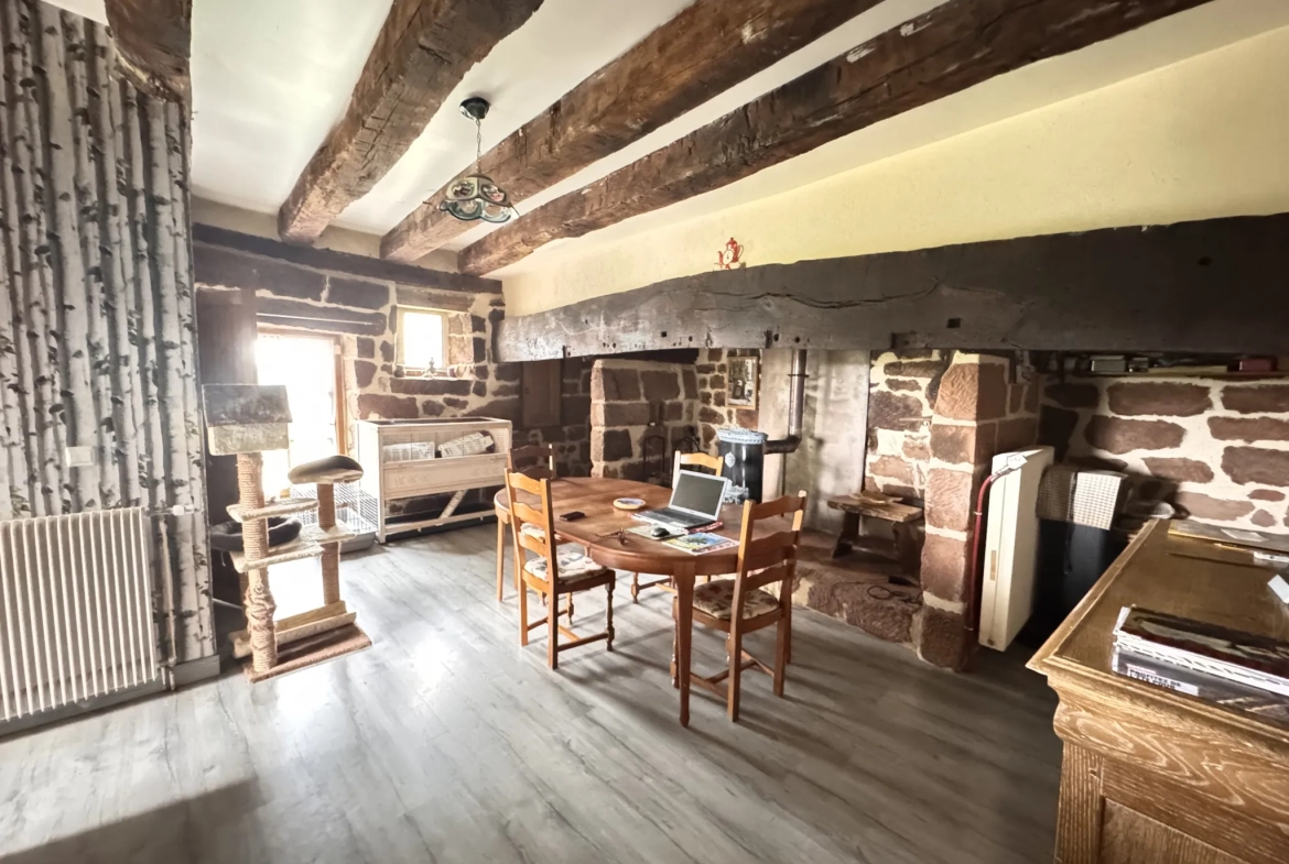 Charmante maison en pierres avec grande cuisine, 3 chambres et dépendances à Louignac 