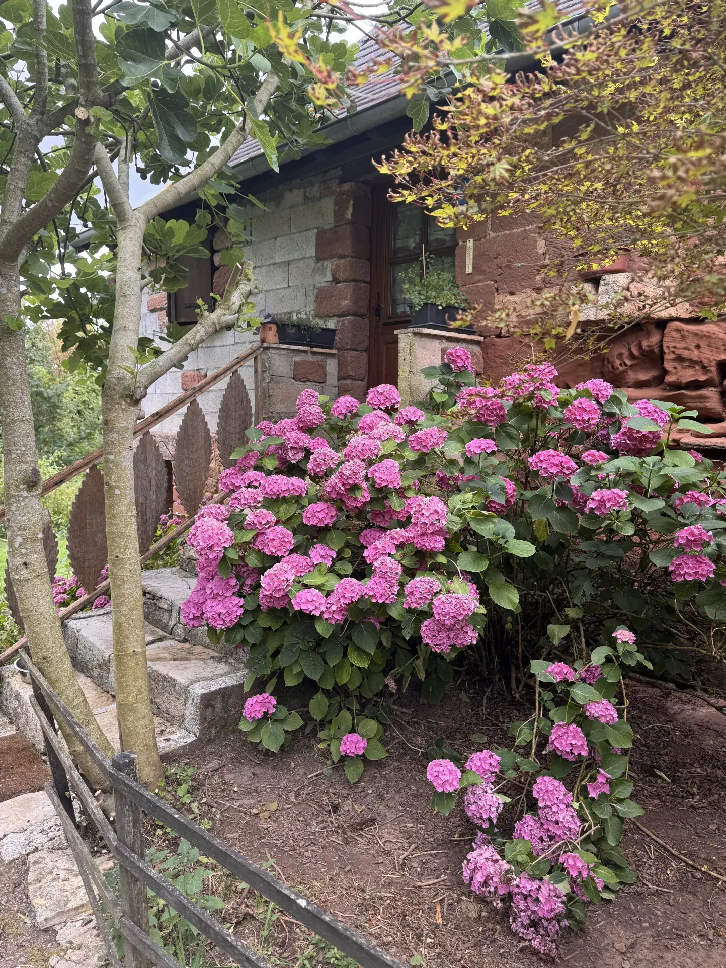 Charmante maison en pierres avec grande cuisine, 3 chambres et dépendances à Louignac 