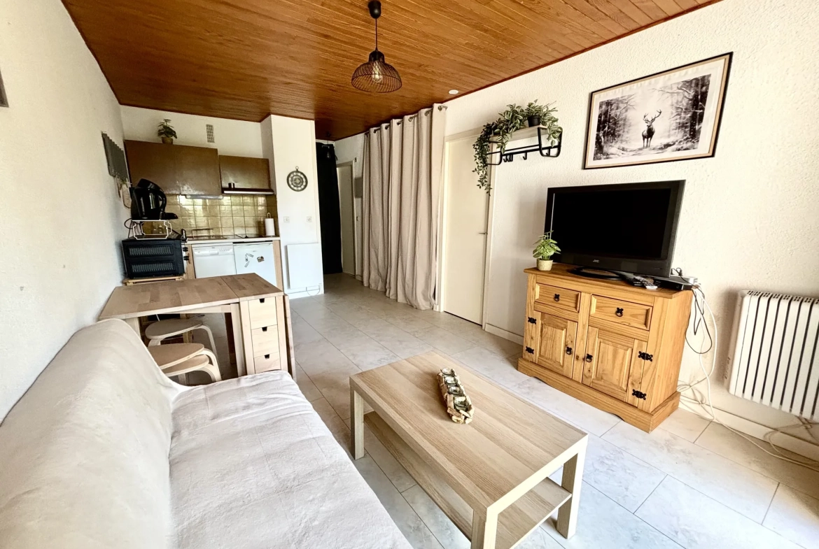 Appartement T2 bis en rez-de-jardin à Font-Romeu avec jardin ensoleillé 
