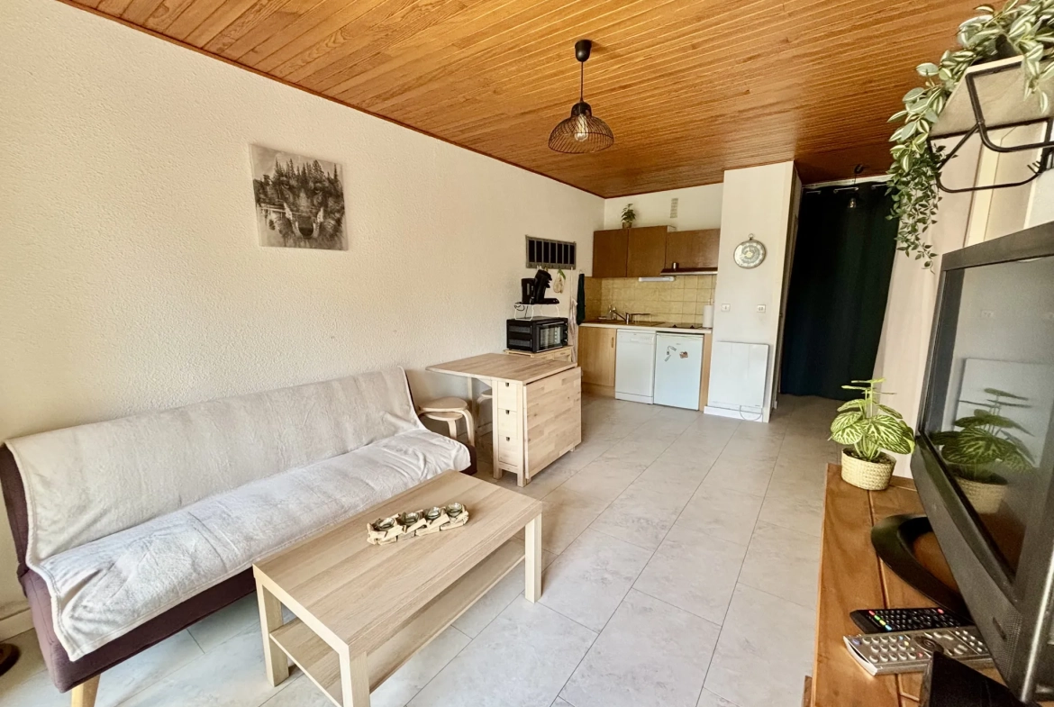 Appartement T2 bis en rez-de-jardin à Font-Romeu avec jardin ensoleillé 