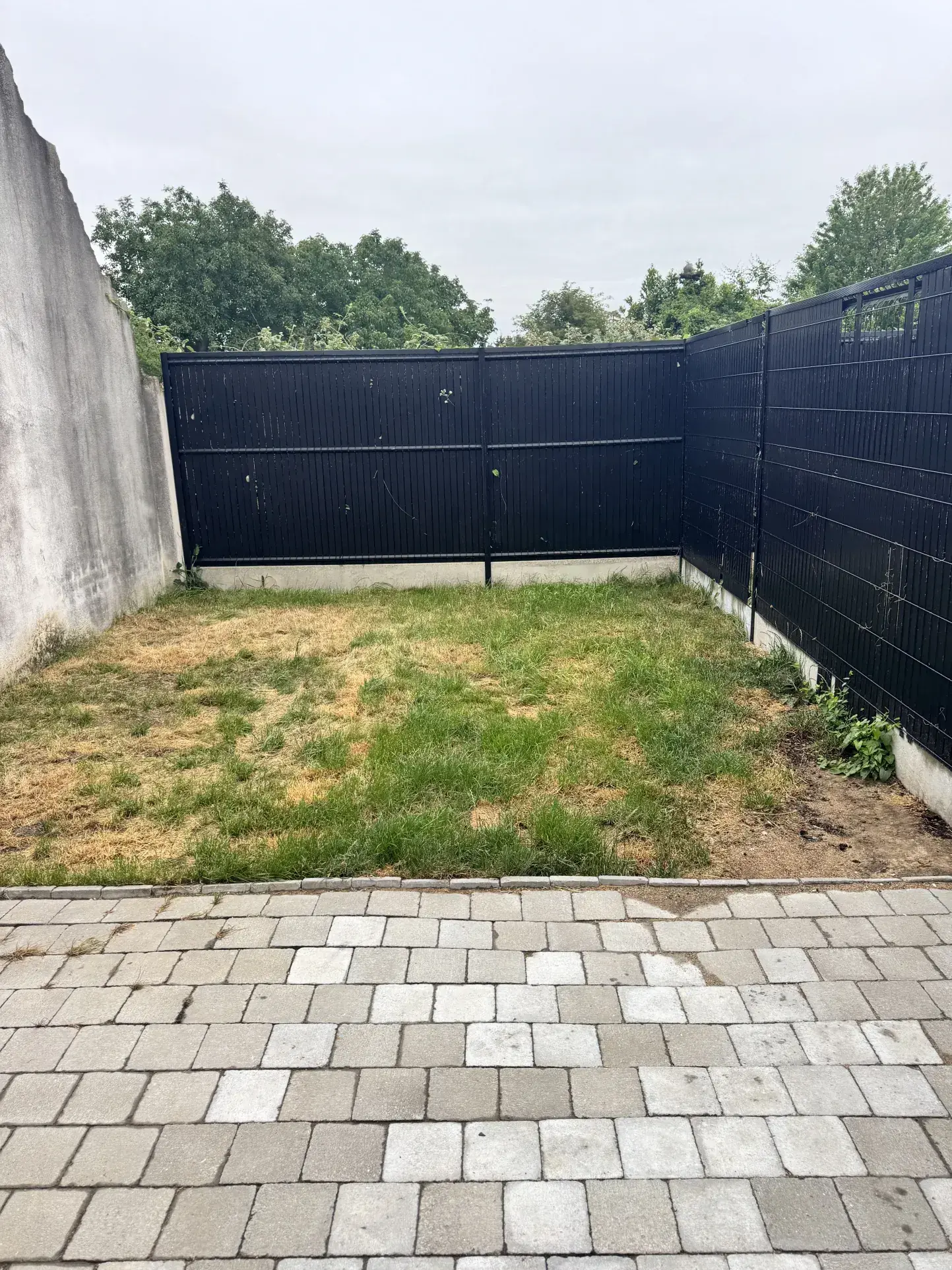 Maison rénovée à Helesmes avec terrasse et 2 chambres - Idéal cadre de vie paisible 