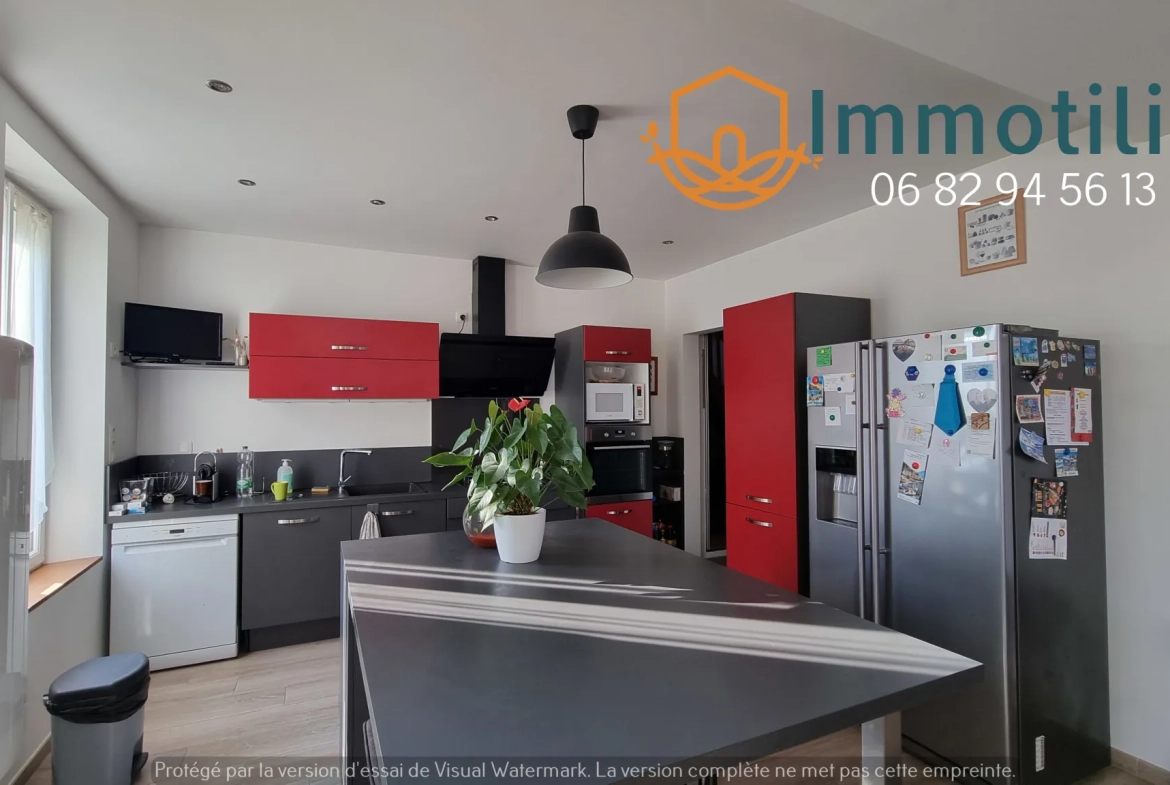 Maison villageoise rénovée avec dépendance, bureaux et jardin proche de Bray-sur-Seine 