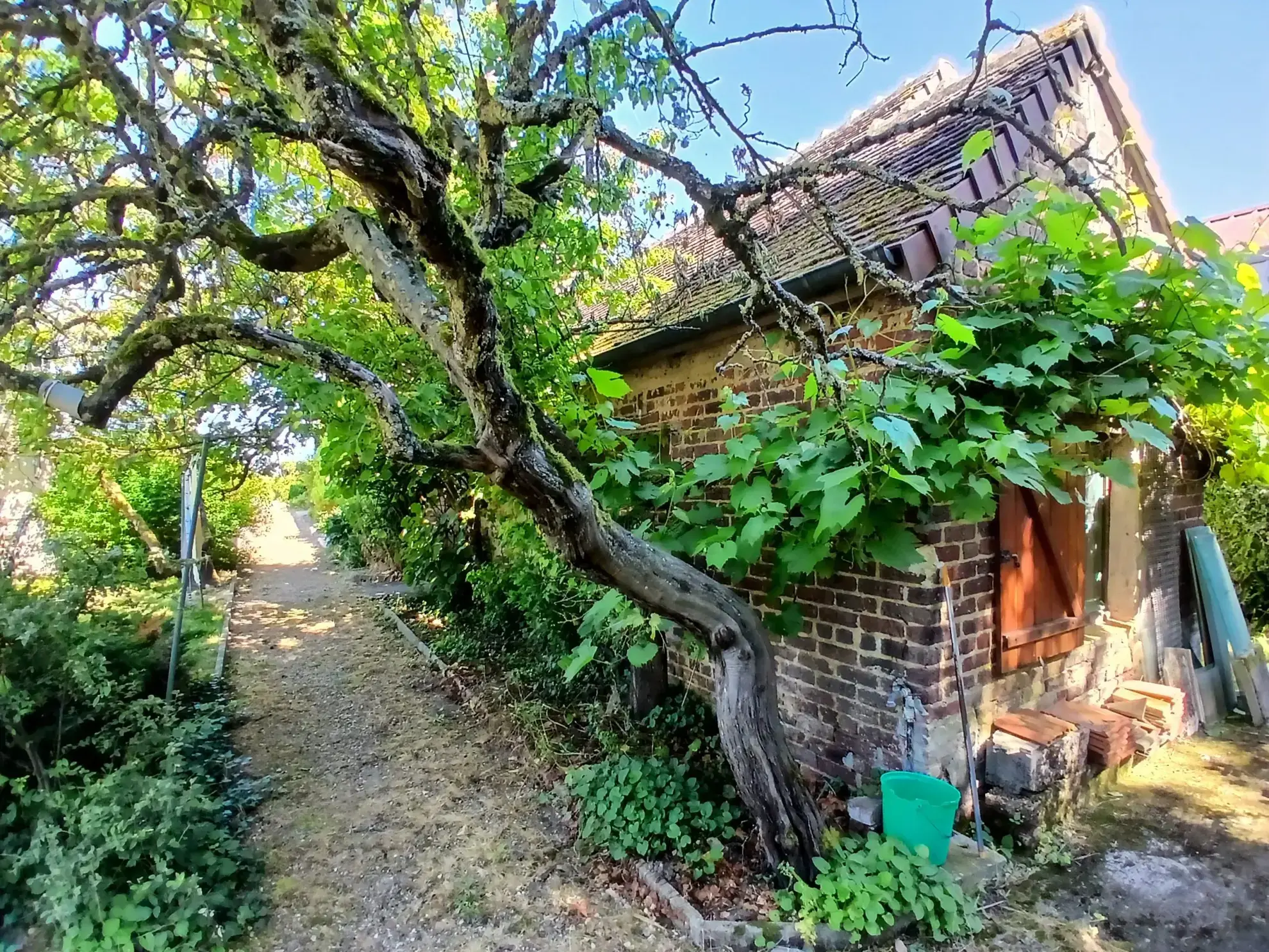 Maison de campagne avec piscine et dépendances à Vendôme 