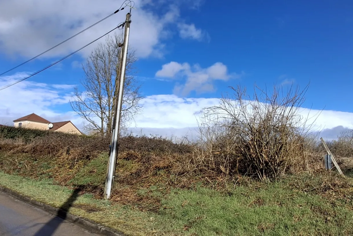 Terrain constructible de 1189 m² à Laduz, proche Auxerre et Joigny 