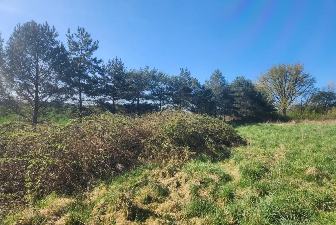 Terrain constructible 4200 m² à Saint-Mards-en-Othe - Vue exceptionnelle 