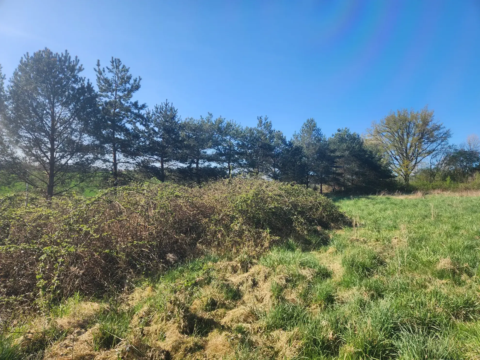 Terrain constructible 4200 m² à Saint-Mards-en-Othe - Vue exceptionnelle 