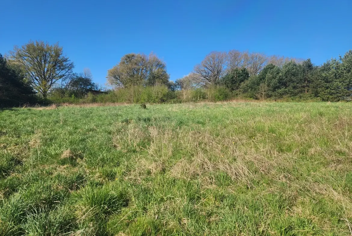 Terrain constructible 4200 m² à Saint-Mards-en-Othe - Vue exceptionnelle 