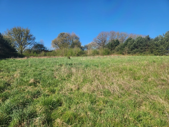 Terrain constructible 4200 m² à Saint-Mards-en-Othe - Vue exceptionnelle