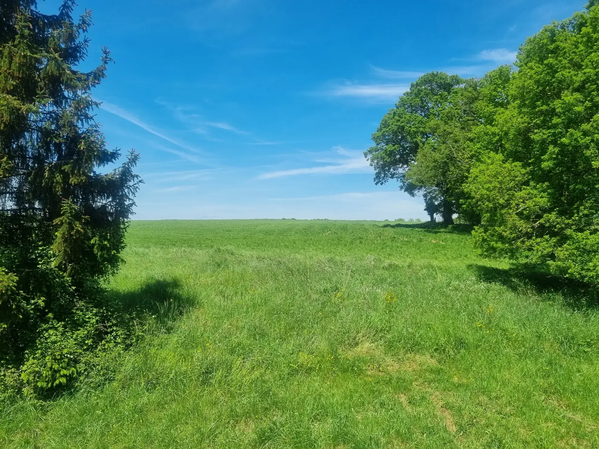 Maison spacieuse de 133,88 m² à vendre dans le secteur d'Alençon 