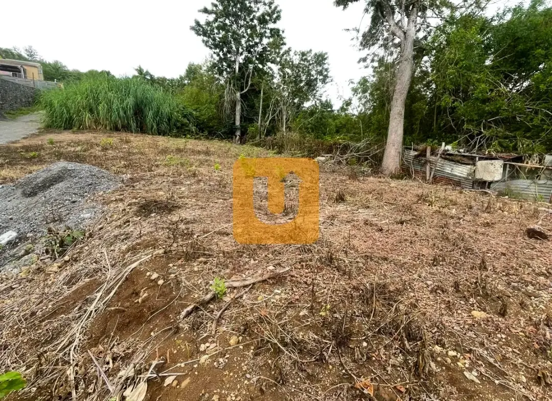 Achat Terrain 409 m² en Centre-ville des Trois-Bassins - Urbanis La Réunion 