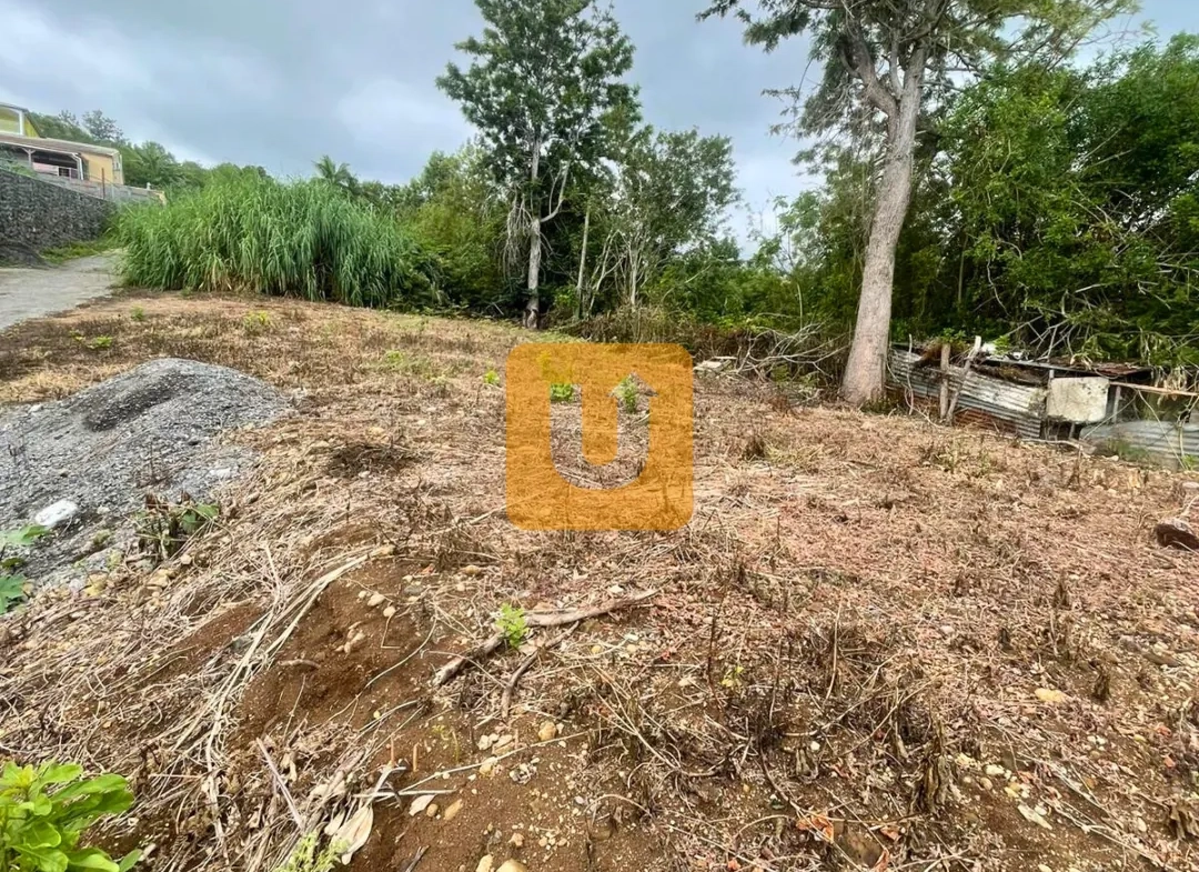 Achat Terrain 409 m² en Centre-ville des Trois-Bassins - Urbanis La Réunion 