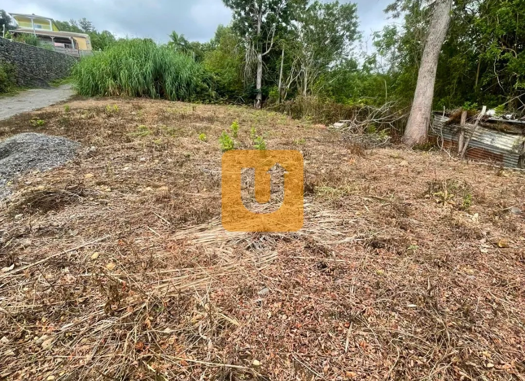 Achat Terrain 409 m² en Centre-ville des Trois-Bassins - Urbanis La Réunion 