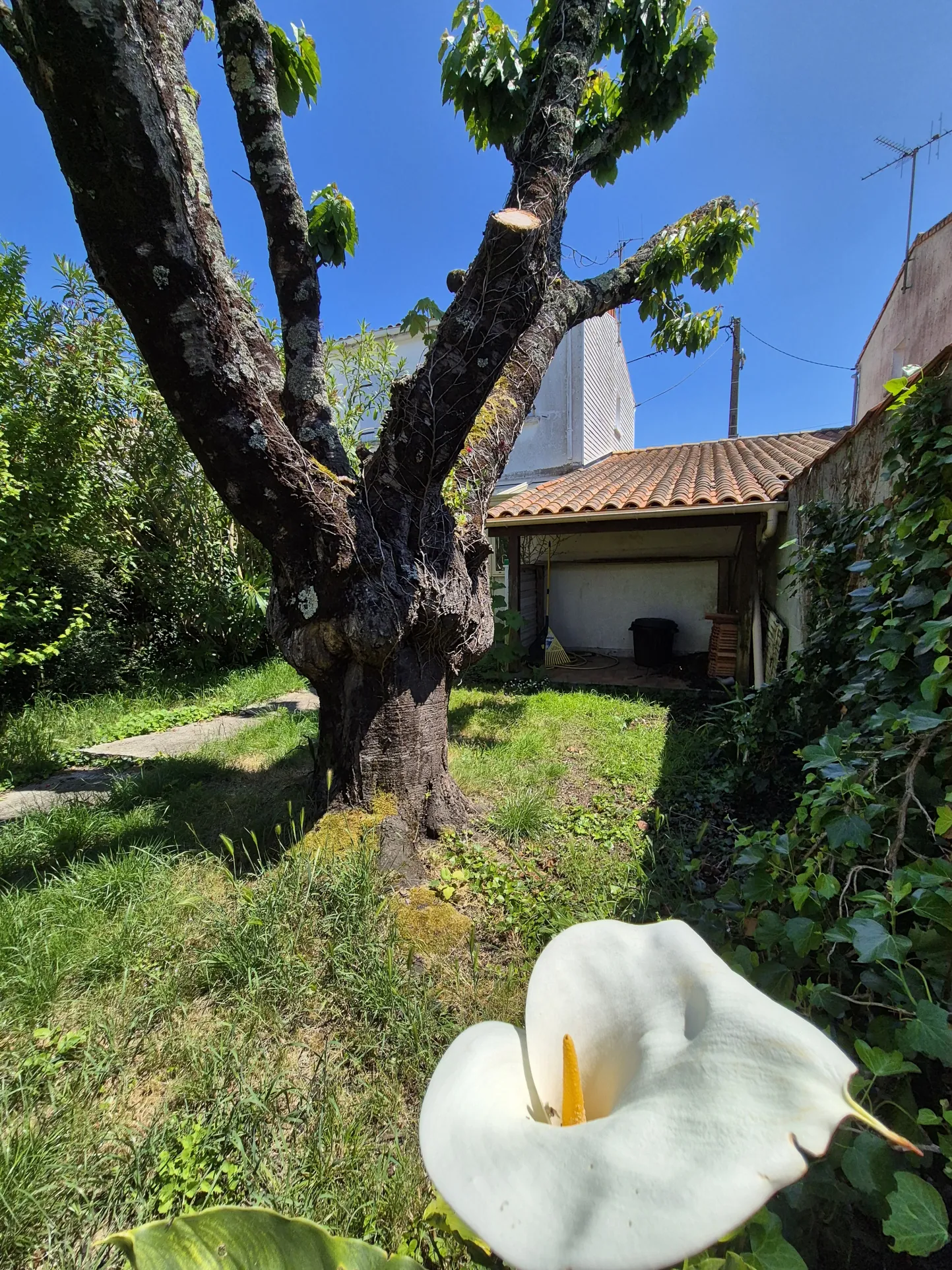 Maison T4 avec jardin, garage et vue mer à Fouras 
