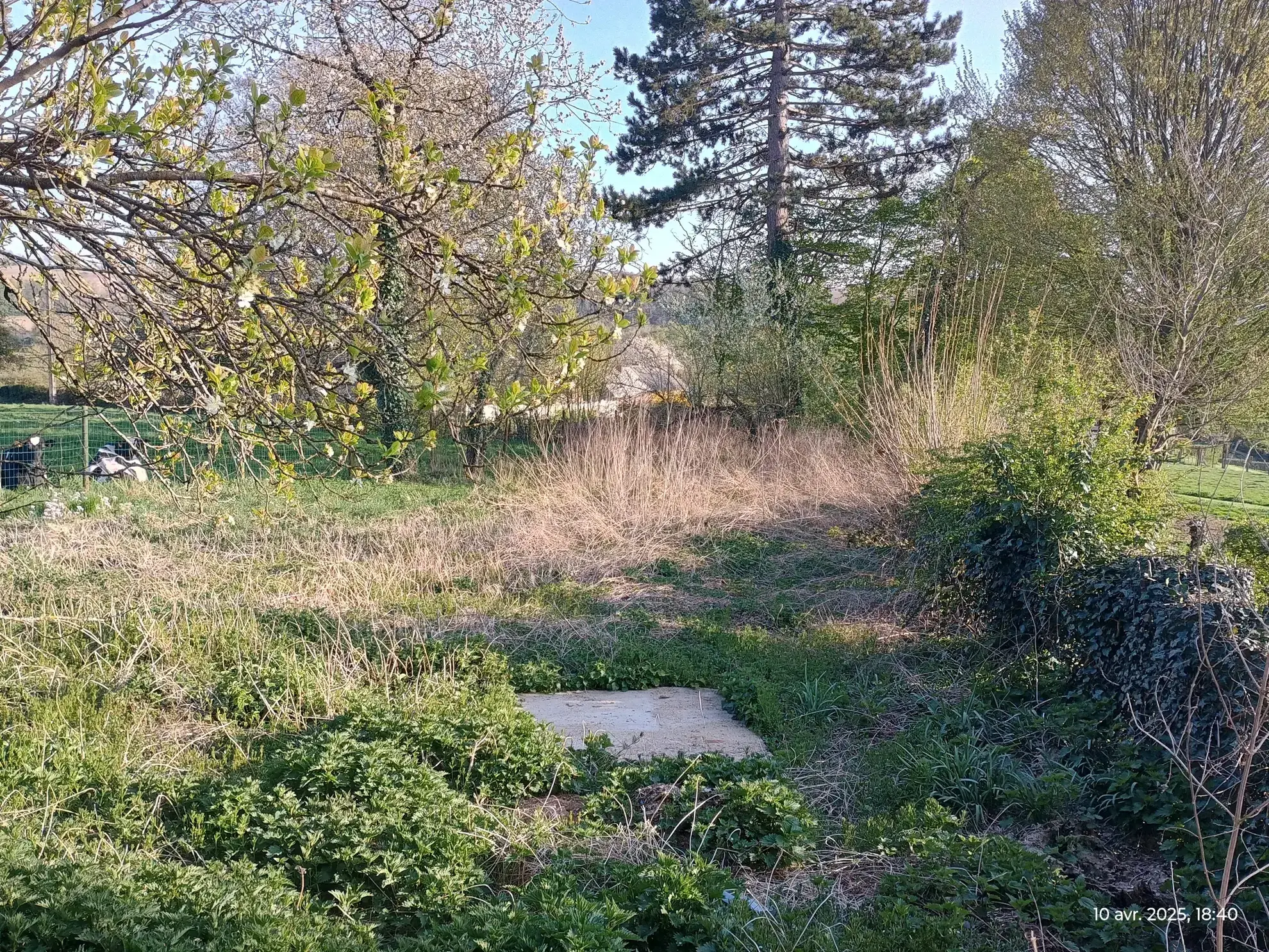 Maison de village à Gergny (02) à rénover avec grand terrain et potentiel touristique 