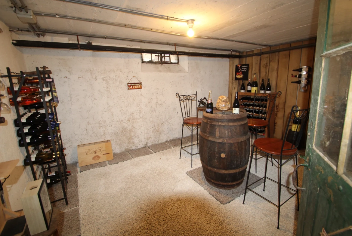 Immeuble mixte de 326 m² avec appartements, local professionnel et garages au Mayet de Montagne 