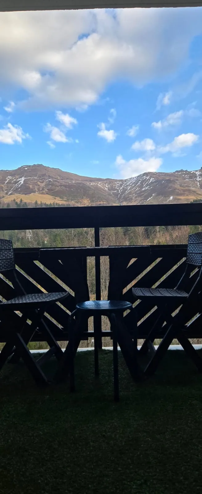 Appartement de 30 m² avec vue sur la station du Lioran - Investissement ou résidence 