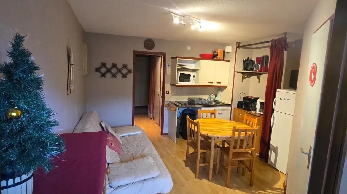 Appartement de 30 m² avec vue sur la station du Lioran - Investissement ou résidence 