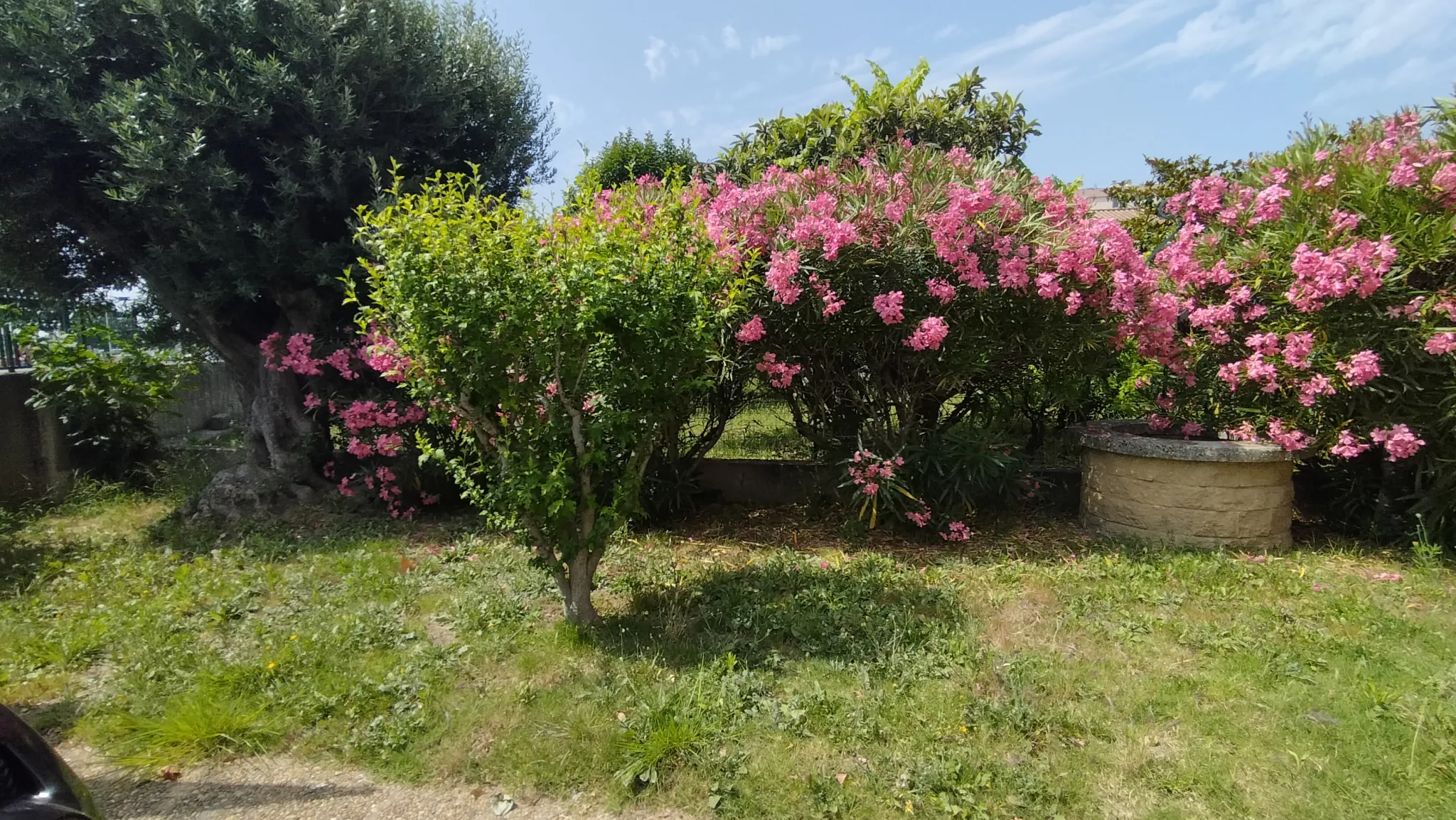 Maison T4 à Nîmes Ouest avec jardin, garage et grande terrasse 