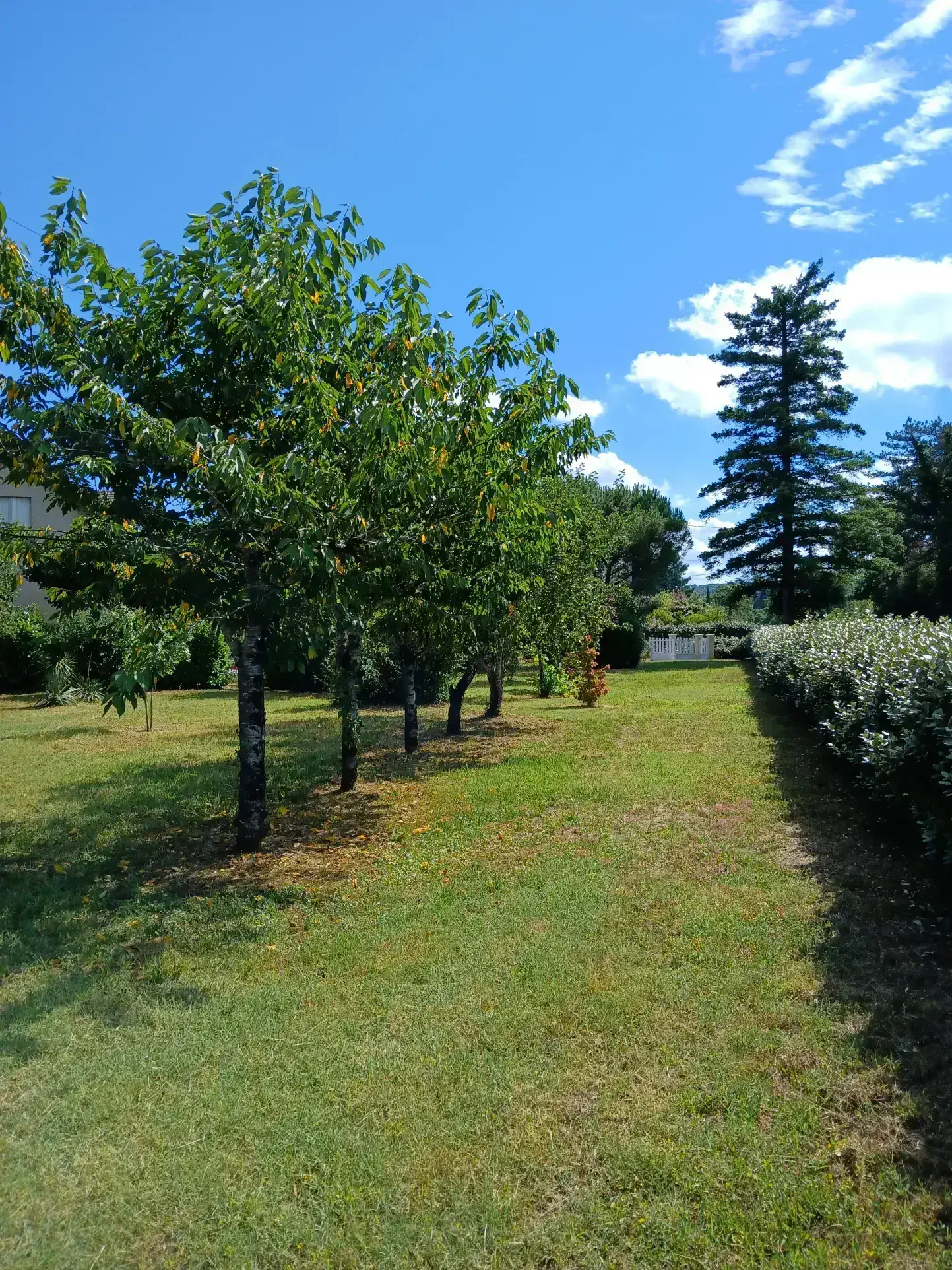 Maison T7 à vendre à La Roque-Gageac – Grand terrain et garages, idéal famille 