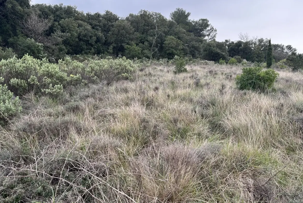 Terrain de 9590 m² à vendre entre Saint-Chinian et Assignan pour projets agricoles ou de loisirs 
