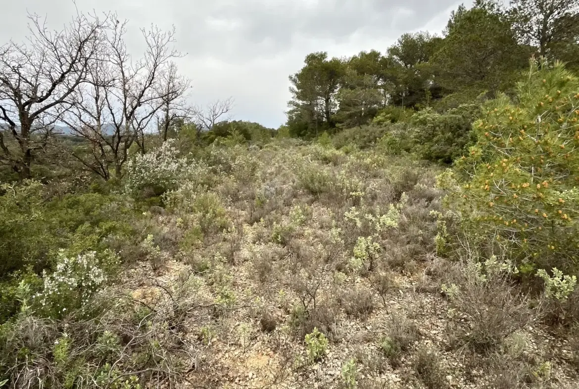 Terrain de 9590 m² à vendre entre Saint-Chinian et Assignan pour projets agricoles ou de loisirs 
