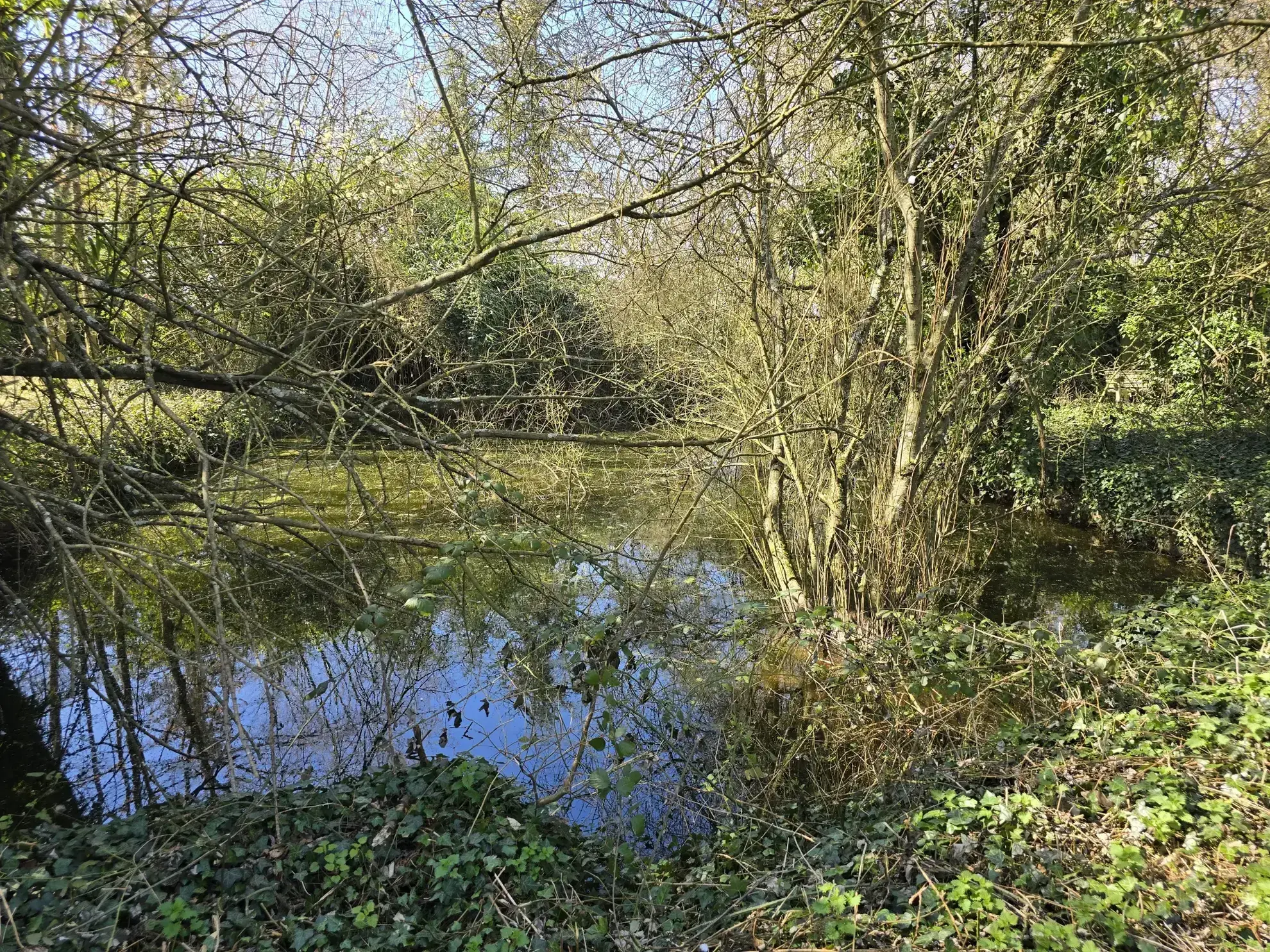 Charmante longère en pierre à rénover à Beton-Bazoches, proche N4, terrain de 4000 m² 