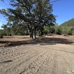 Terrain de 860 m² à Serra di Fiumorbu, idéal pour construire votre villa