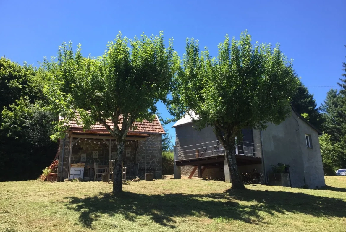 Belle maison rénovée avec jardin dans la vallée de la Dordogne 