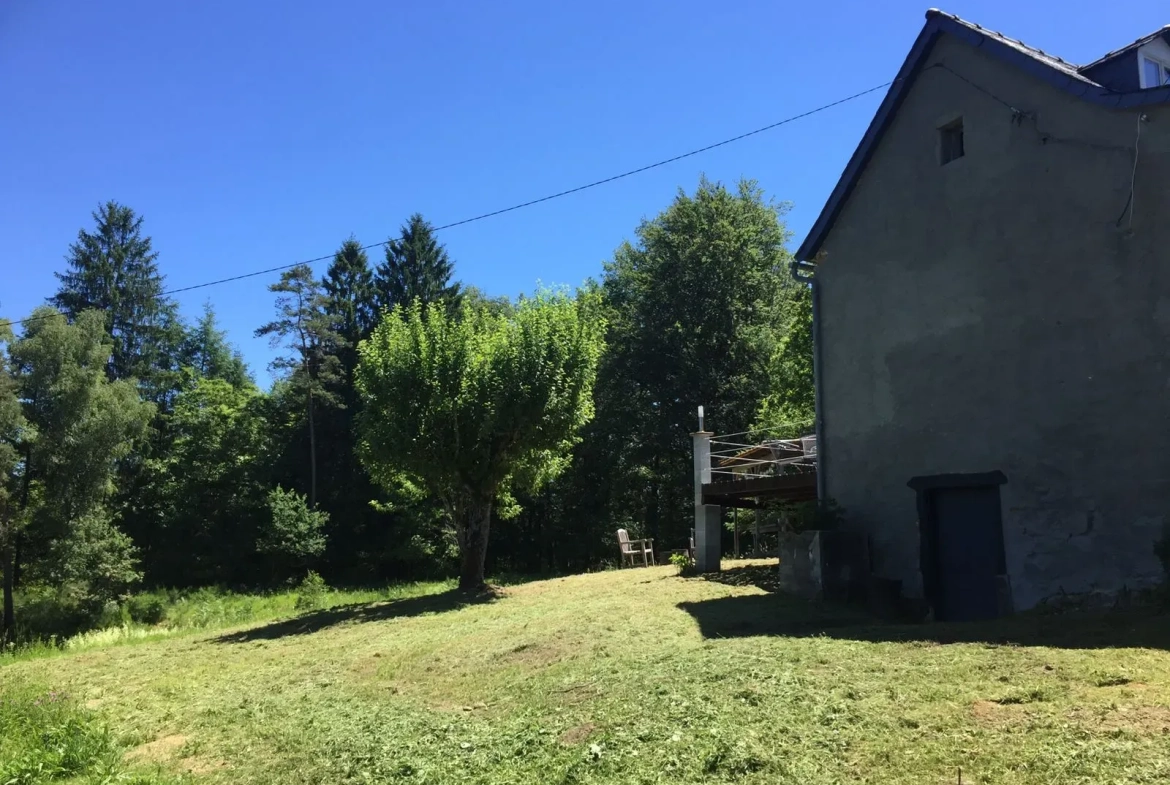 Belle maison rénovée avec jardin dans la vallée de la Dordogne 