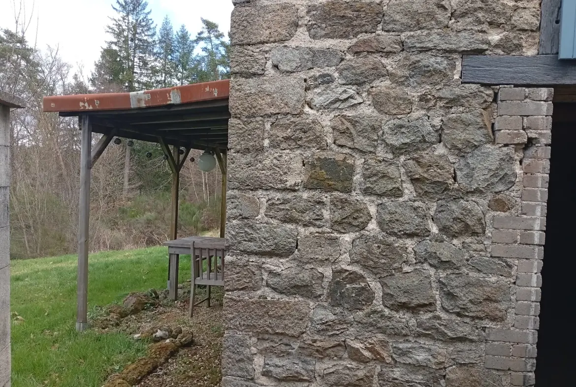 Belle maison rénovée avec jardin dans la vallée de la Dordogne 