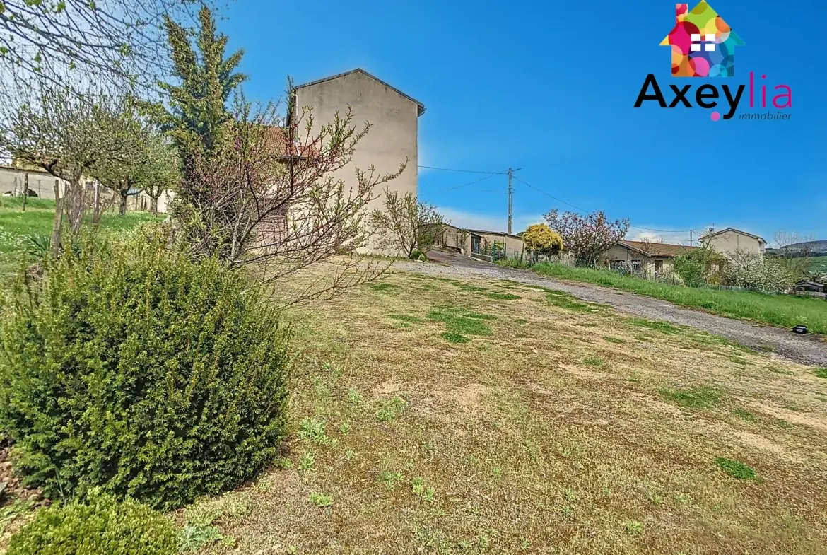Maison ancienne à vendre près de Neulise avec garages et terrain de 2256 m² 