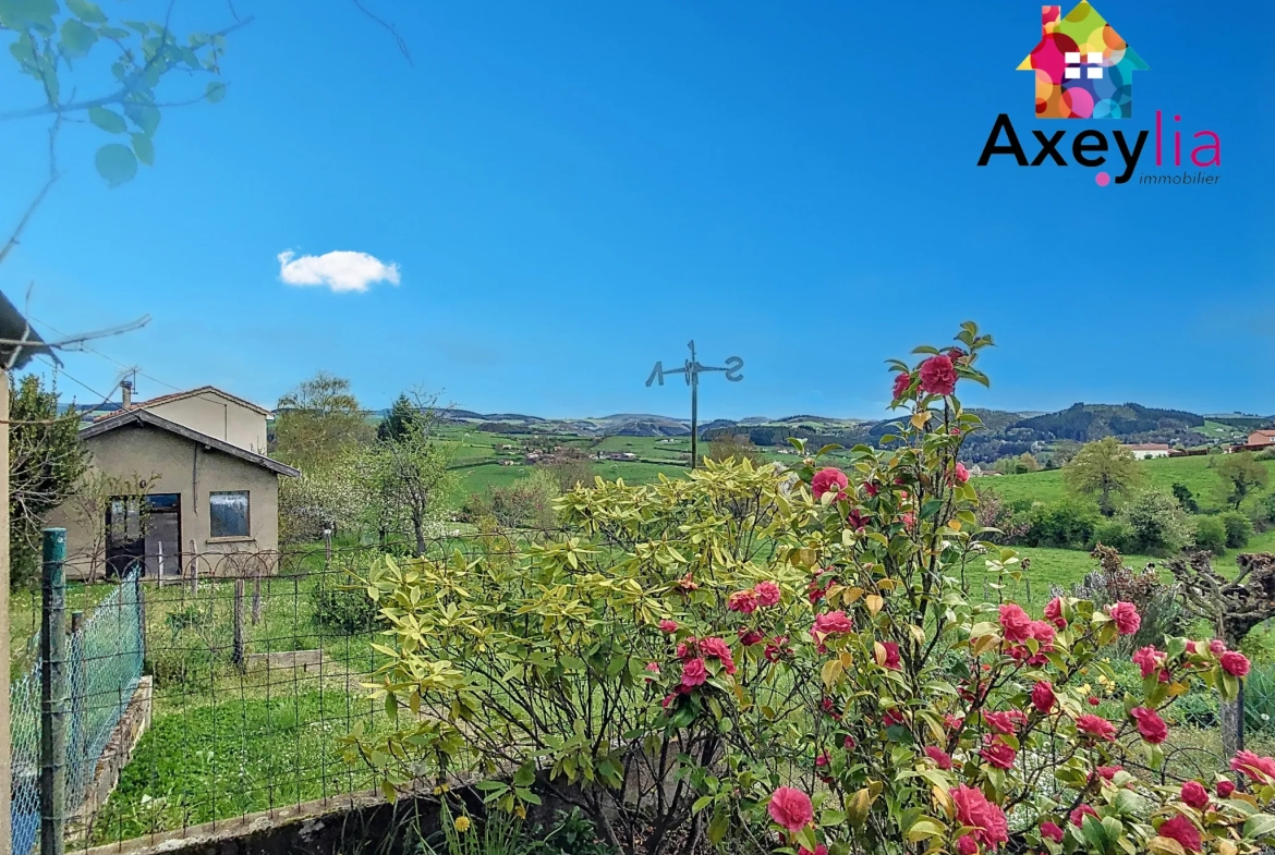 Maison ancienne à vendre près de Neulise avec garages et terrain de 2256 m² 