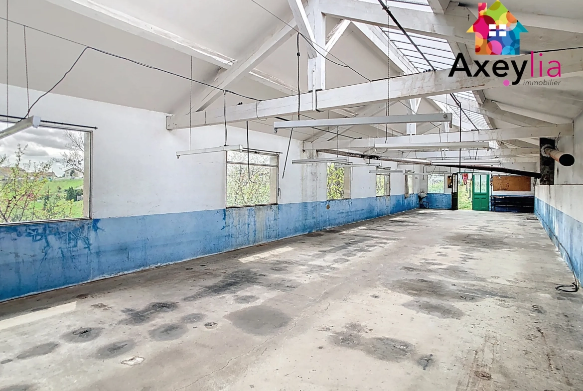 Maison ancienne à vendre près de Neulise avec garages et terrain de 2256 m² 